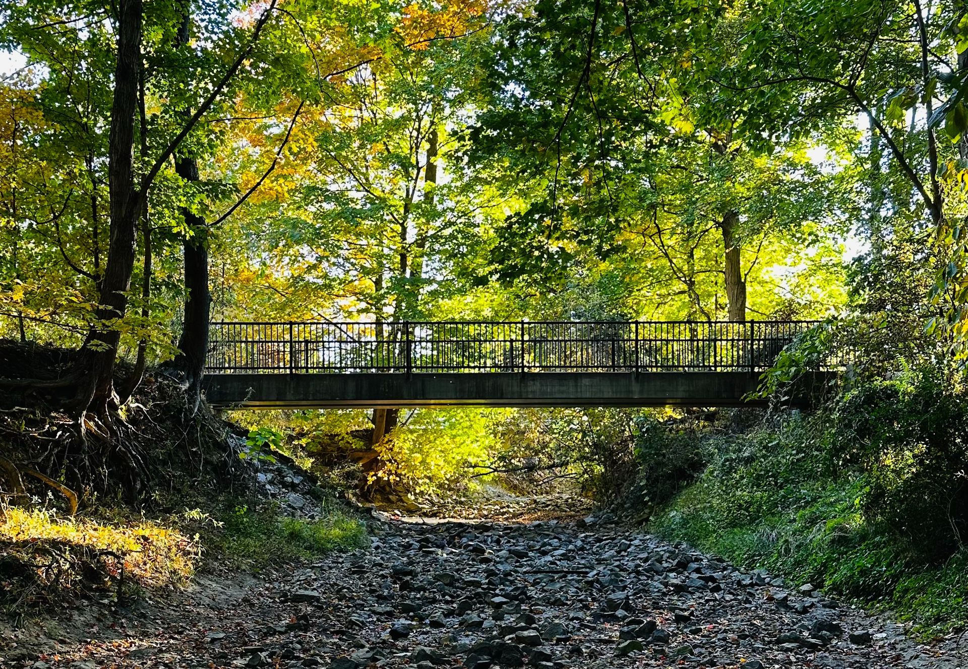 Bridge Over Kentucky Creek